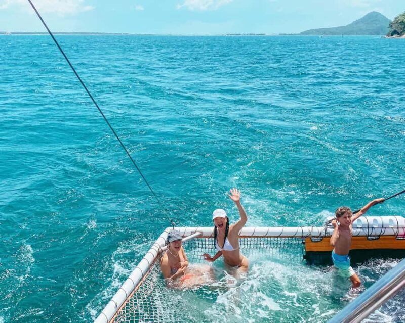 Newcastle: Animal Lovers Tour - Kangaroos, Dolphins & more! - Encountering Koalas and Other Animals