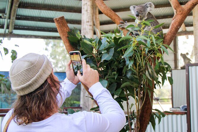 Newcastle: Animal Lovers Tour - Kangaroos, Dolphins & more! - Why This Tour Works Well