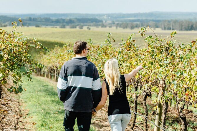 Newcastle: Boutique Hunter Valley Wine Tour - Why This Tour Offers Great Value