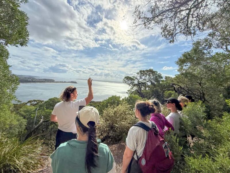 Newcastle: Port Stephens day tour. Dolphins, hike, swim. - FAQs