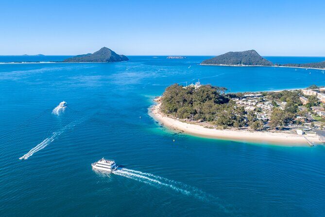 Newcastle: Port Stephens day tour - Dolphins, hike & swim! - Customer Reviews: Authentic Feedback