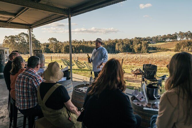 Newcastle: Private Hunter Valley Wine Tour - The Sum Up: Is This Tour Right for You?