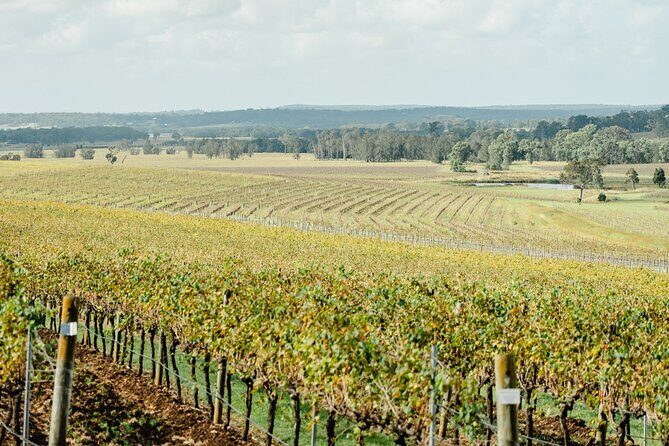Newcastle: Private Hunter Valley Wine Tour - FAQ