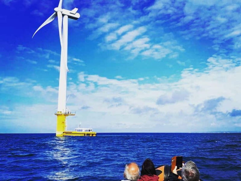 Newhaven: Rampion Offshore Wind Farm Boat Tour - Final Thoughts