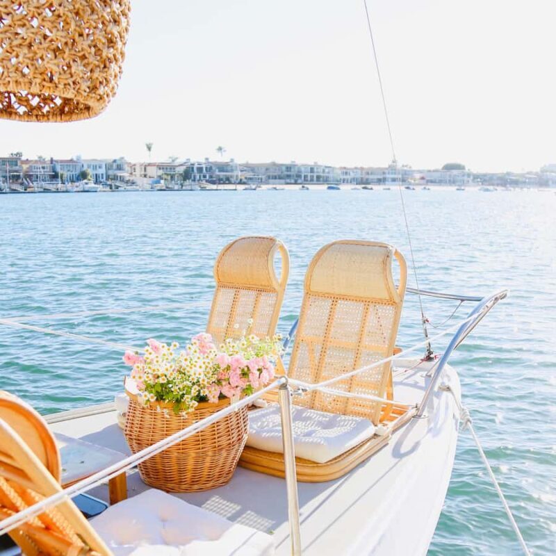 Newport Beach: The Boat People Cruise-Private Harbor Cruises - Who Should Consider This Cruise?