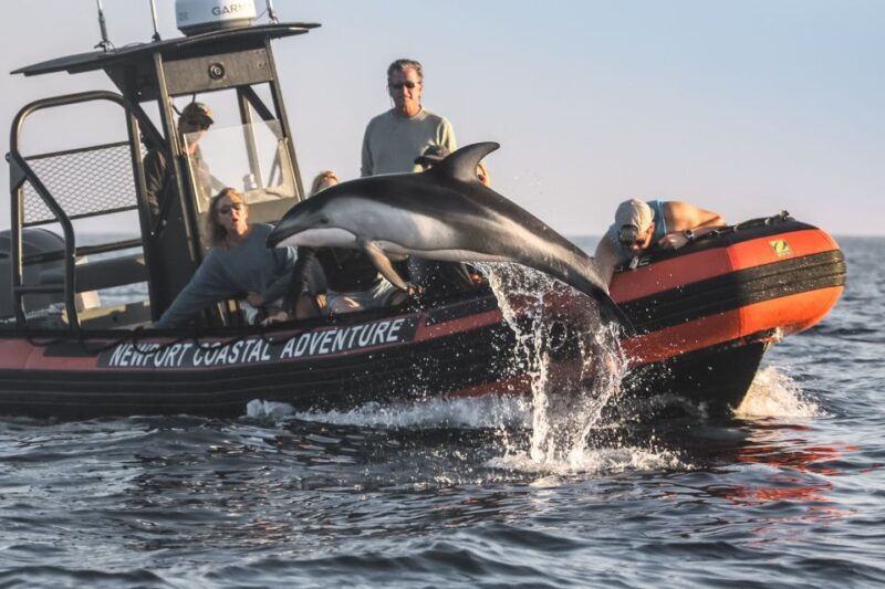 Newport Beach: Ultimate Whale Watching Adventure - An Authentic and Up-close Marine Adventure