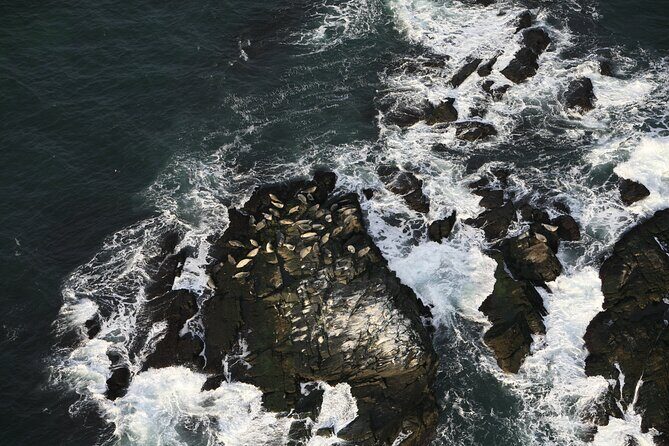 Newport Winter Wonderland Helicopter Tour - Practical Details and Tips