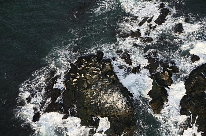 Newport Winter Wonderland Helicopter Tour - FAQ