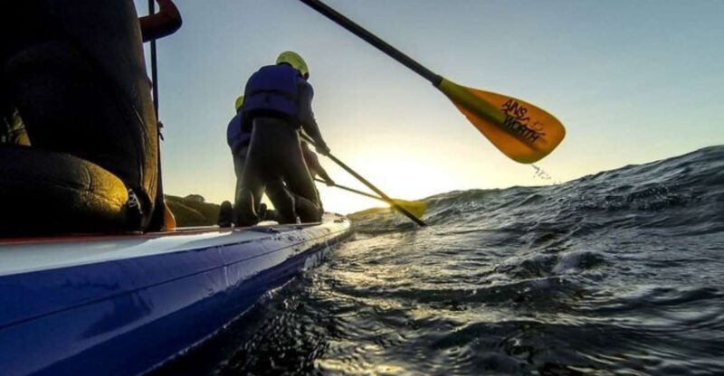 Newquay: Super SUP Tour - The Experience in Detail