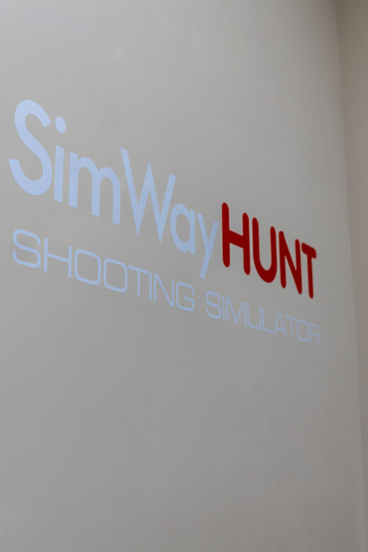 Newton Abbot: Simulator - Who Is This Experience Best For?