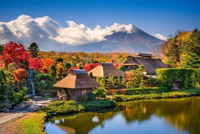 Nezu Shrine and Yanaka: Afternoon Downtown Walking Tour - FAQ