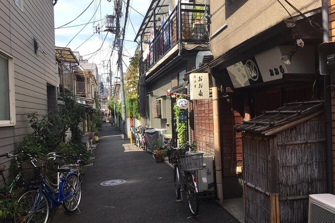 Nezu Shrine and Yanaka backstreet walking tour by Storyteller - Practical Details and What to Expect