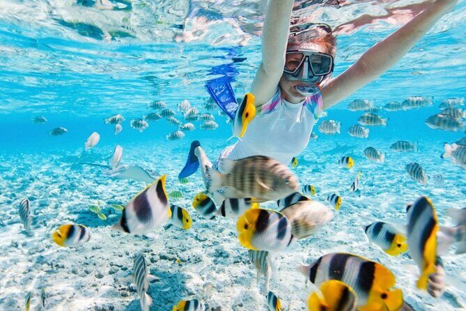Nha Trang 3 Island VIP Tour - FAQs
