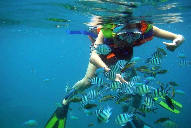 Nha Trang Bay Private Boat Tour - Key Points