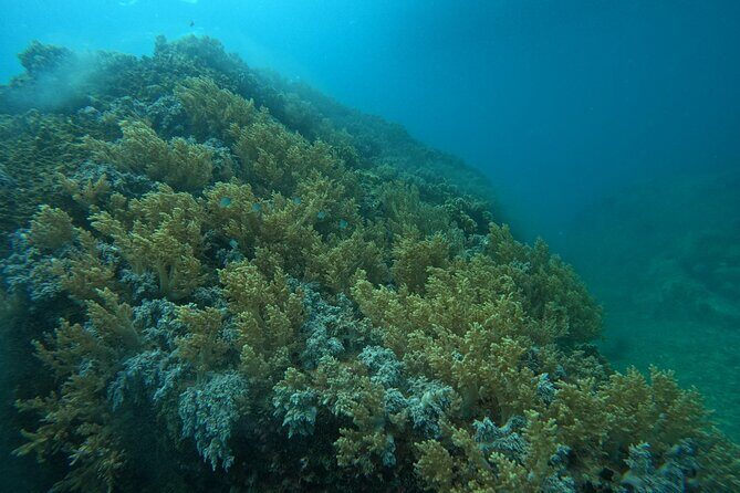 Nha Trang Day Tours Snorkeling And BBQ Onboard - Practical Details