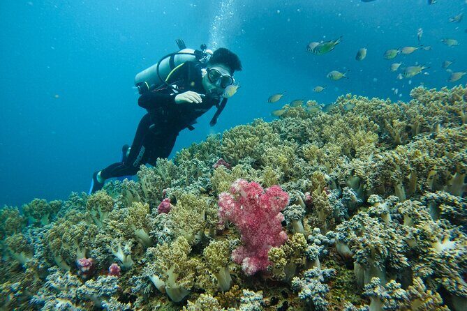Nha Trang Day Tours Snorkeling And BBQ Onboard - FAQs
