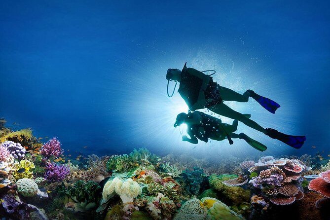 Nha Trang Diving at Mun Island full day tour - A Detailed Look at the Mun Island Full Day Tour