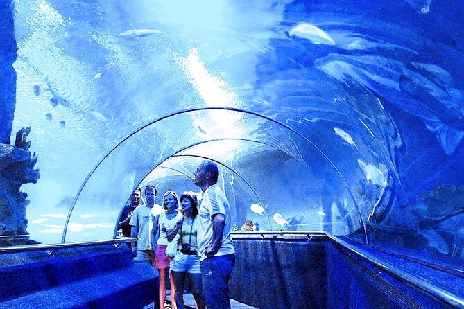 Nha Trang : Enjoy Your Best Of Nha Trang City & Relax In Spa - What to Expect from this Nha Trang Tour