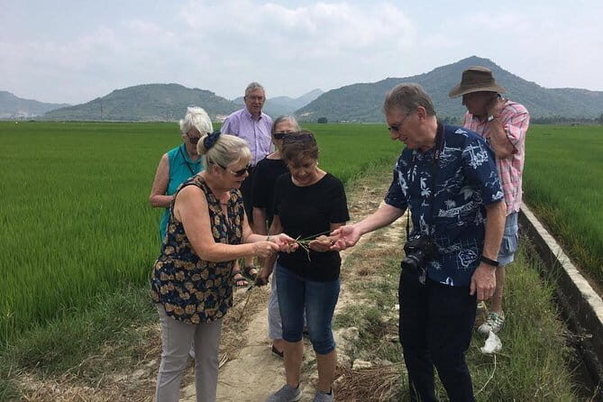 Nha Trang Private Countryside Tour for rural life discovery - An In-Depth Look at the Nha Trang Countryside Tour