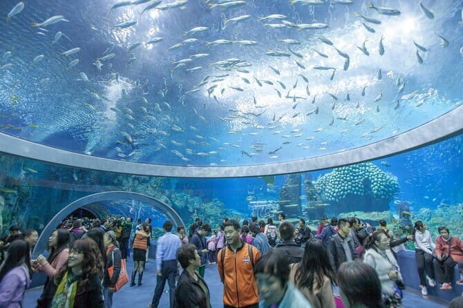 Nha Trang Top Attractions and Hidden Gems Adventure - Introduction to the Tour Experience
