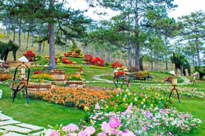 Nha Trang: Top Site Must Visit Da Lat City Trip - The experience in detail