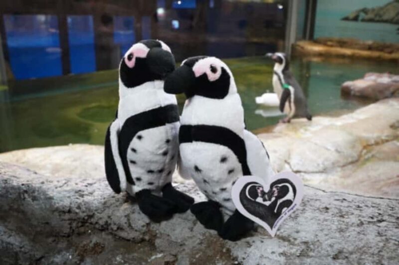 Niagara: Aquarium of Niagara General Admission - A Closer Look at the Aquarium of Niagara