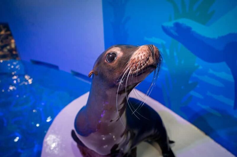 Niagara: Aquarium of Niagara General Admission - The Bottom Line