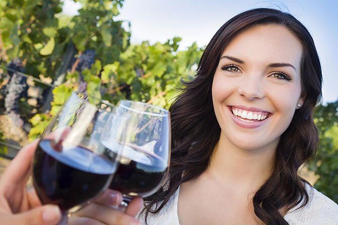 Niagara Buffalo Airport Departure: Private Transfer to Buffalo Niagara Airport - Final Thoughts: Is It Worth It?