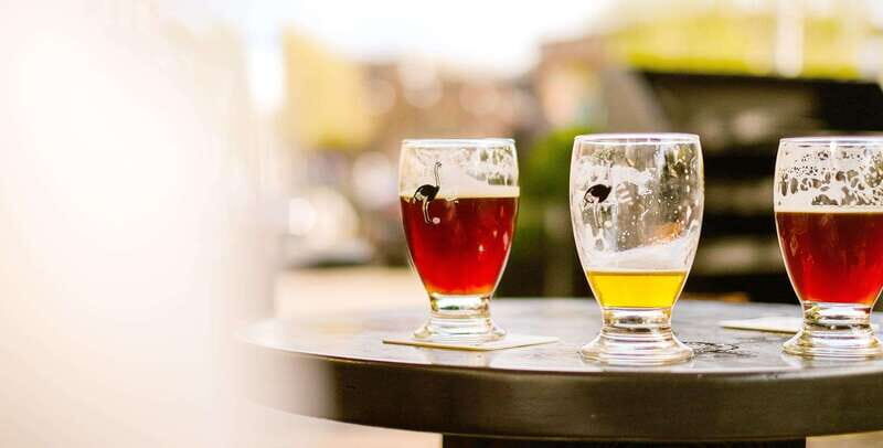 Niagara Craft Brewery Tour Niagara Falls - Who is this tour best suited for?