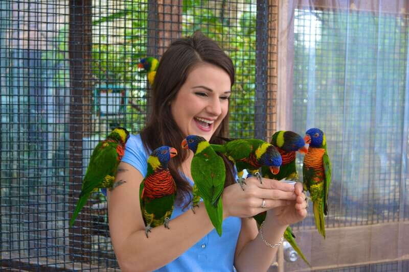 Niagara Falls, Canada: Bird Kingdom Entry Ticket - An Overview of What to Expect