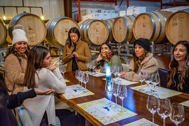 Niagara Falls, Canada: Escarpment Boutique Wine Tour - Introduction: Discovering the Niagara Escarpment’s Hidden Gems