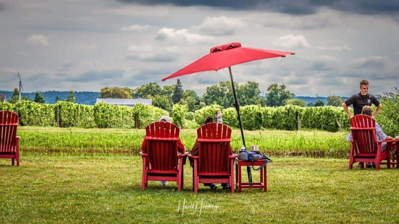 Niagara Falls, Canada: Escarpment Boutique Wine Tour - FAQ