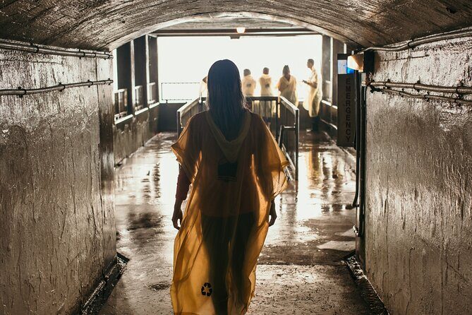 Niagara Falls Festival of Lights Tour from Toronto - Returning to Toronto