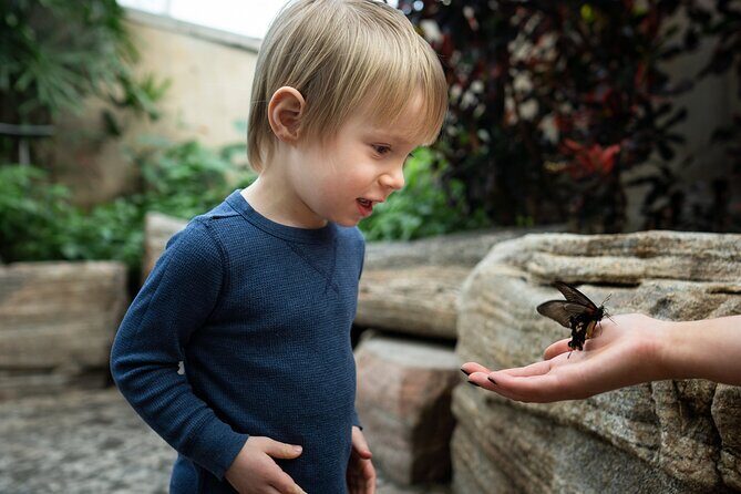 Niagara Falls Pass: 5 Iconic Attractions, WEGO Bus & Audio Guide - The Sum Up