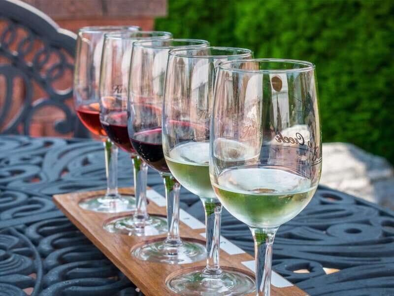 Niagara Falls: Public Niagara Wine Tour with Transportation - An In-Depth Look at the Niagara Wine Tour