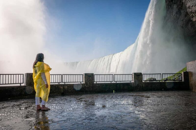 Niagara Falls Tour with Skip the Line Cruise & Maple Tasting - Price and Value