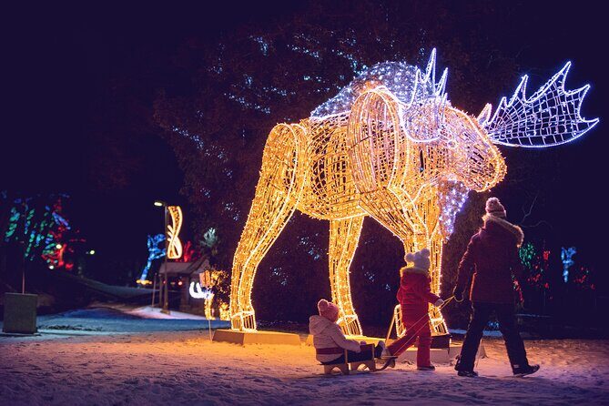 Niagara Falls USA/Canada Winter Wonderland Adventure tour - Authentic Experiences & Personal Touches
