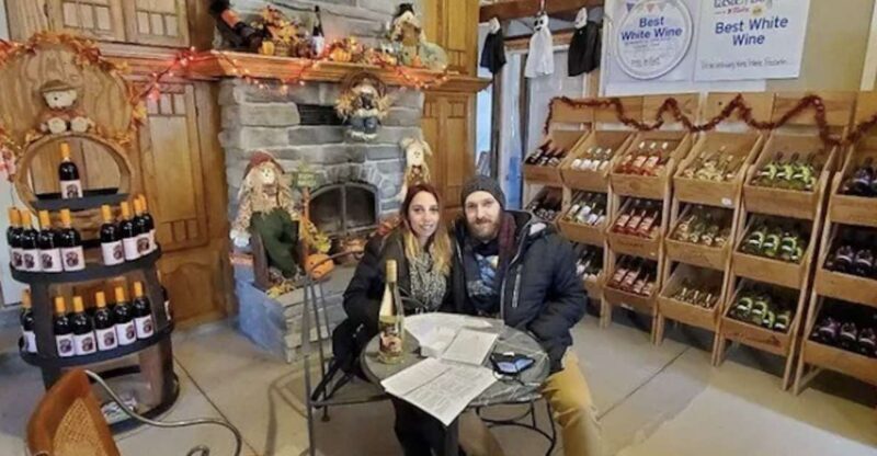 Niagara Falls: USA Small-Group Boutique Wine Tour - A Deep Dive into the Experience