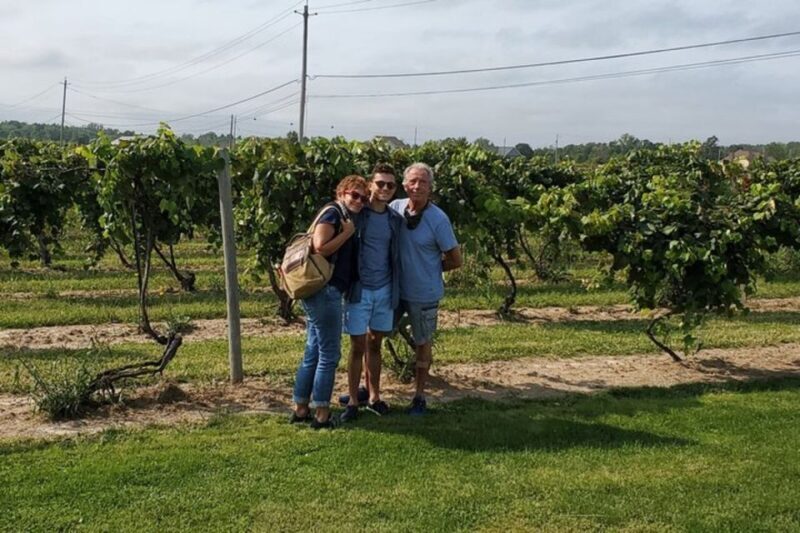 Niagara Falls: USA Small-Group Boutique Wine Tour - Who Would Love This Tour?