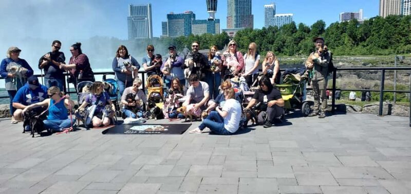 Niagara Falls Winter Wonderland Tour - An Honest Look at the Niagara Falls Winter Wonderland Tour