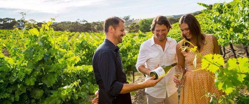 Niagara-on-the-Lake: Sunset Wine Tour with Dinner - Introduction: Why This Tour Might Be Your Perfect Day in Niagara