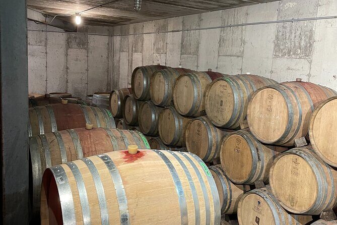 Niagara Wine Tasting and three courses Dinner - Authentic Experiences and Real-World Feedback