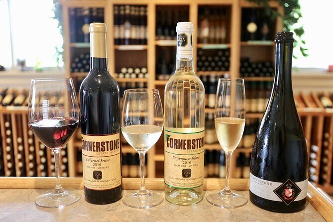 Niagara Wine Tour and Tastings with Included Transportation - Who Is This Tour Best For?