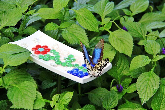 Niagara Winter Wonderland Tour with Attractions and Syrup Taste - Final Thoughts: Who Will Love This Tour?