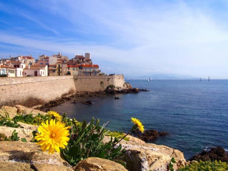 Nice: Antibes, Cannes & Saint-Paul-de-Vence Private Tour - Key Points