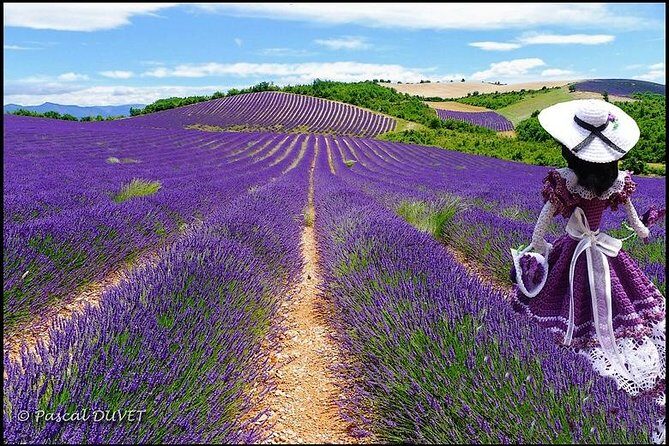 Nice: Gorges of Verdon and Fields of Lavender Tour - What We Loved About This Tour
