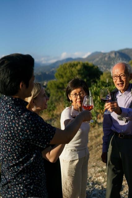 Nice: Vineyard Tour with Wine Tasting - Key Points