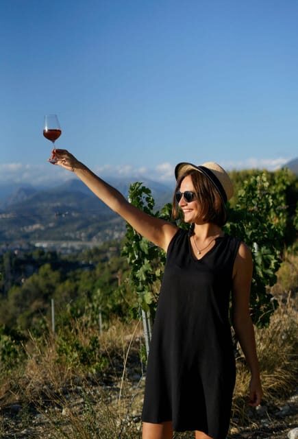 Nice: Vineyard Tour with Wine Tasting - An Overview of the Experience