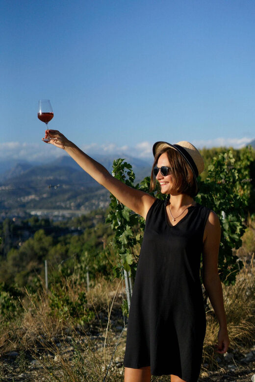 Nice: Vineyard Tour with Wine Tasting - The Sum Up
