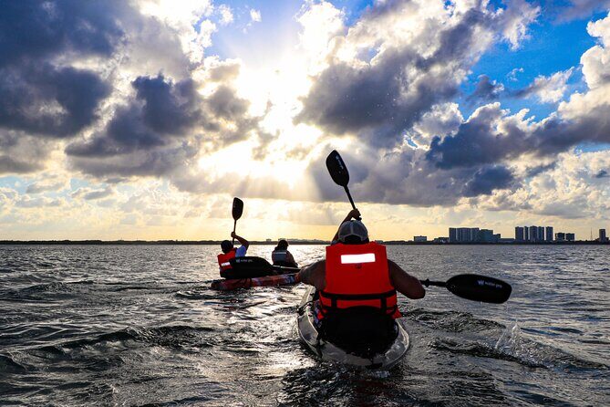 Nichupte Lagoon! Mangrove Kayaking Experience from Cancun - An Honest Look at the Nichupte Lagoon Kayaking Tour